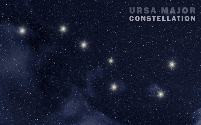 The support team at ursa major solar