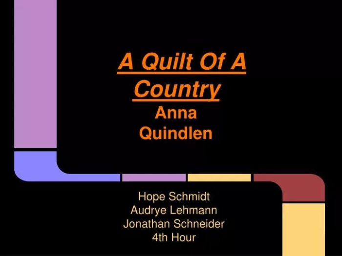 Anna quindlen quilt of a country