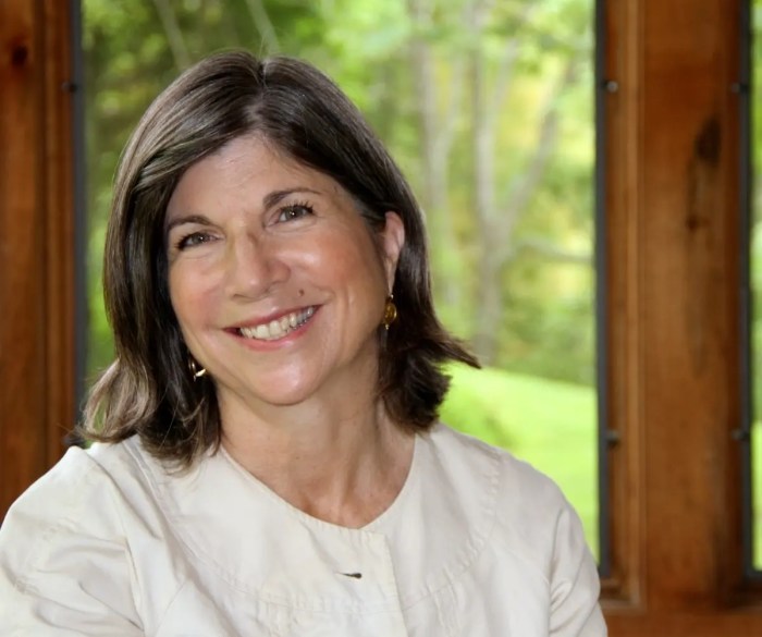 Anna quindlen quilt of a country