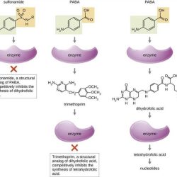 Openstax microbiology test bank pdf