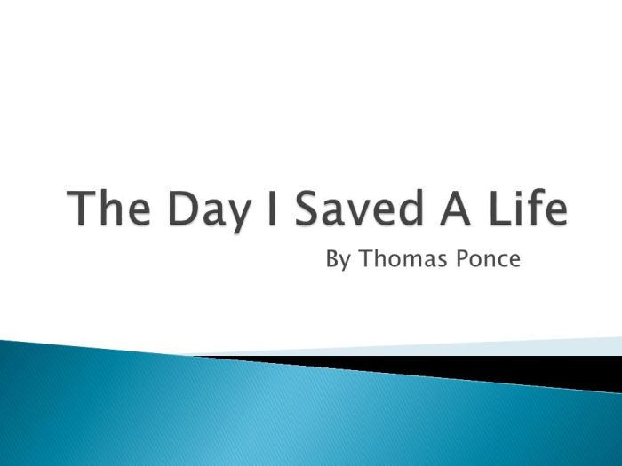 The day i saved a life by thomas ponce