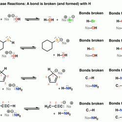 Draw the major organic product of the bronsted acid-base reaction