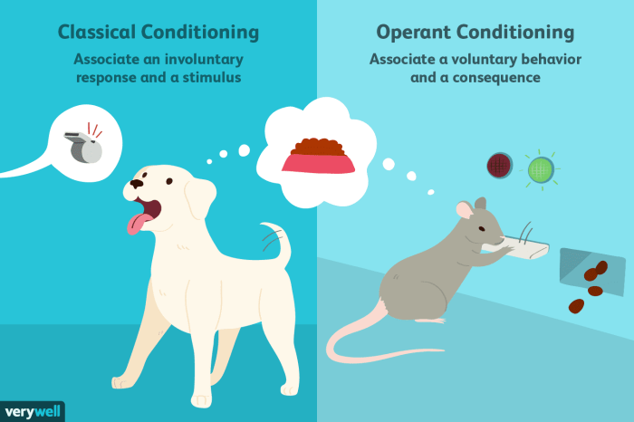 In classical conditioning organisms learn the association between two