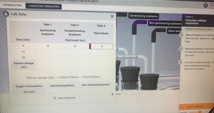 Cellular respiration measuring energy production in plants