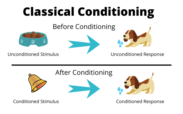 Conditioning operant generalization psychmechanics explanation discrimination